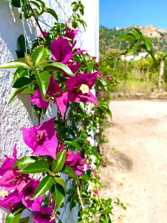 La Casetta Brancaleone Marina Ngoại thất bức ảnh